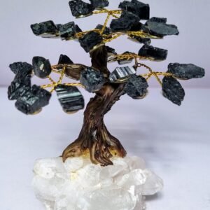 Arvore de Turmalina Negra na Drusa Cristal