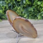 Borboleta em Ágata Caramelo