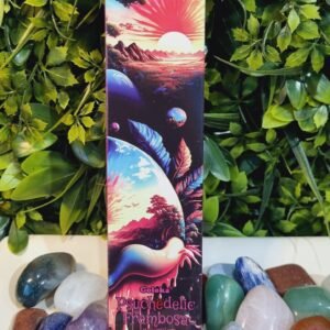Incenso Goloka Psychedelic Framboesa