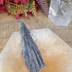 Cristal de Cianita Preta (Vassoura de Bruxa)