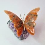 Borboleta de Cristal na Drusa